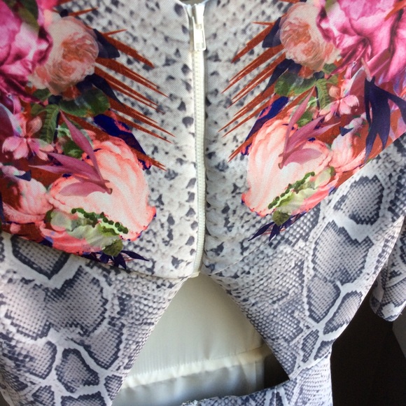 Stunning Camilla and Marc *VECTOR* Dress - Picture 4 of 8